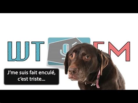 sodomiser par un chien